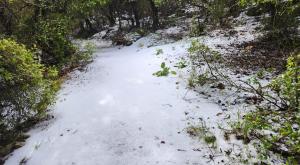 שלג בשמורת טבע הר מירון צילום: שי מסיקה רשות הטבע והגנים תחזית מזג האוויר