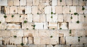 צילום: shutterstock עשרה בטבת