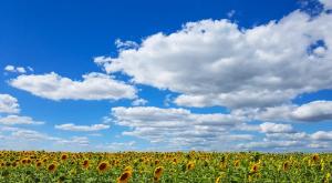  צילום: shutterstock תחזית מזג האוויר