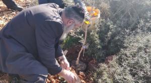  צילום: באדיבות 'עם ישראל חי' כדאי לדעת