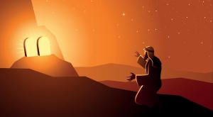  צילום: shutterstock פרשת בהר