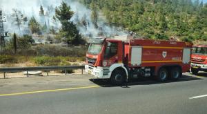  צילום: דודי דוטש חדשות