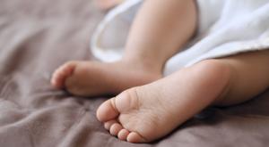 אילוסטרציה צילום: shutterstock חדשות