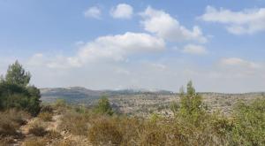  צילום: כבאות והצלה מבזקים