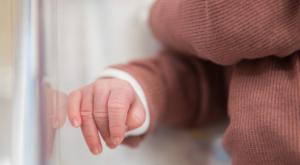  צילום: Hadas Parush/Flash90 חדשות