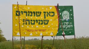  צילום: wikipedia CC BY-SA 4.0 Eliran t יום העצמאות