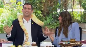 אלעד זוהר והנחש  צילום: צילומסך רשת 13 טלוויזיה