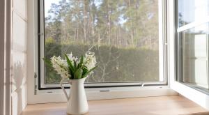 דרכים להרחקת יונים  צילום: Olga_Ionina,Shutterstock כדאי לדעת