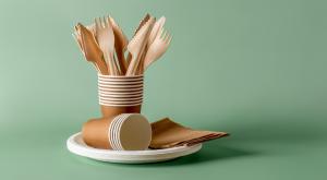 כלים חד פעמיים, אילוסטרציה צילום: Maryia_K,Shutterstock כדאי לדעת