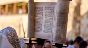 פרשת השבוע | צילום: John Theodor,Shutterstock פרשת ויחי