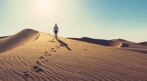 פרשת השבוע פרשת לך לך |  צילום: Bojani,Shutterstock פרשת לך לך