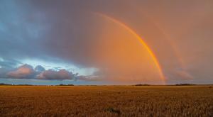הגשם עוזב לכמה ימים צילום: MantasVD,Shutterstock תחזית מזג האוויר