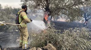 לוחמי האש פועלים במוקד השריפה צילום: כב"ה צפון חדשות