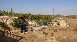 בית המחבל צילום: ללא חדשות