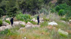 שוטרים מבצעים סריקות ביער סמוך לאלעד. צילום:  אבשלום ששוני/פלאש90 פוליטי