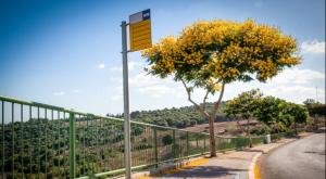 תחנת אוטובוס צילום: Anat Hermony,FLASH 90 חדשות