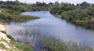חולות זיקים צילום: קובי סופר חדשות