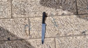  צילום: דוברות המשטרה חדשות