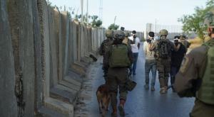 צה"ל צילום: דובר צה"ל חדשות