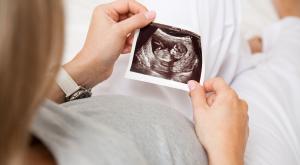 הריון צילום: Phil Jones,Shutterstock ברנז'ה