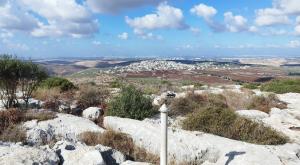 מרפסת המדינה צילום: ללא דייטים