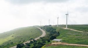  צילום: עידן ארד כדאי לדעת