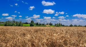  צילום:  Edi Israel/Flash90 תחזית מזג האוויר