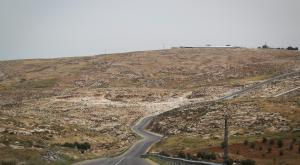  צילום: Hadas Parush/Flash 90 חדשות