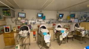  צילום: הרב בועז קליין חדשות
