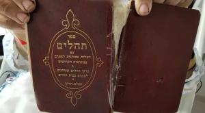 צילום: דוברות שערי צדק חדשות