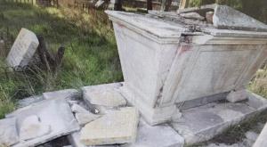  צילום: דוברות המשטרה חדשות