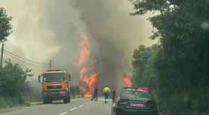  צילום: דוברות כיבוי והצלה חדשות