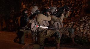 צילום: דובר צה"ל ביטחון
