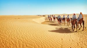 אילוסטרציה צילום: shutterstock פרשת מסעי