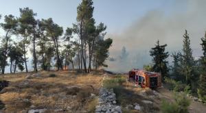  צילום: נריה הר זהב ואסף גאל דור כפר עציון חדשות