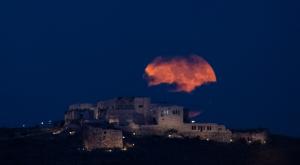 צילום - ברק שקד צילום: רשות הטבע והגנים כדאי לדעת