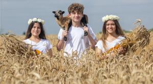 חג שבועות, מזג אוויר נעים צילום:  Yossi Aloni/Flash90 תחזית מזג האוויר