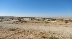 נגב צילום: סעדיה גורדצקי חדשות נדלן
