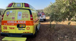 זירת הרצח צילום: דוברות מד"א פלילים
