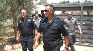 המפכ"ל בלוד, 85 עצורים צילום: דוברות המשטרה פלילים