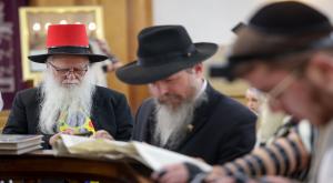 קריאת מגילה בצפת צילום: David Cohen/Flash90 פורים