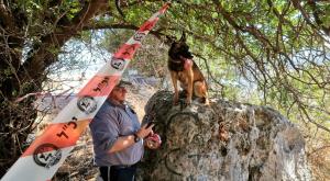 חיפושים אחר נעדרים. ארכיון צילום: דוברות יכ"ל חדשות