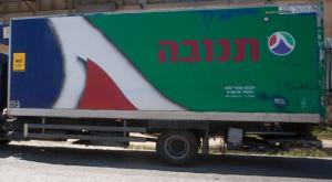 תנובה צילום: Miriam Alster/Flash90 כסף