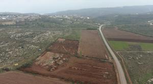 הכרם שנעקר צילום: ללא ביטחון