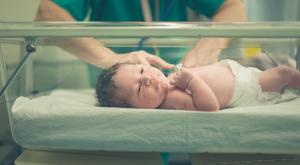השמות הנפוצים ביותר בישראל |  צילום: shutterstock חדשות