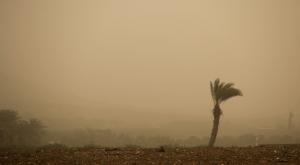 אובך, אזהרה לאוכלוסיות בסיכון צילום: Maor Kinsbursky,Flash90 בריאות