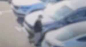 אחד הנערים צילום: דוברות המשטרה פלילים