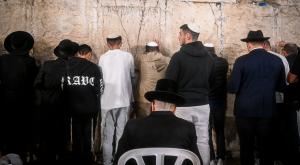 הכותל, תנועות הפוכות צילום: Arie Leib Abrams,Flash90 דעות