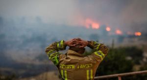 לוחם אש בשריפות צילום: Yonatan Sindel,Flash90 חדשות