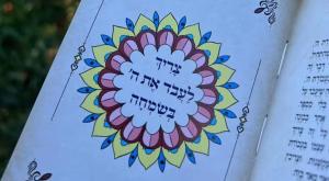 מלא וגדיש צילום: יח"ץ כדאי לדעת